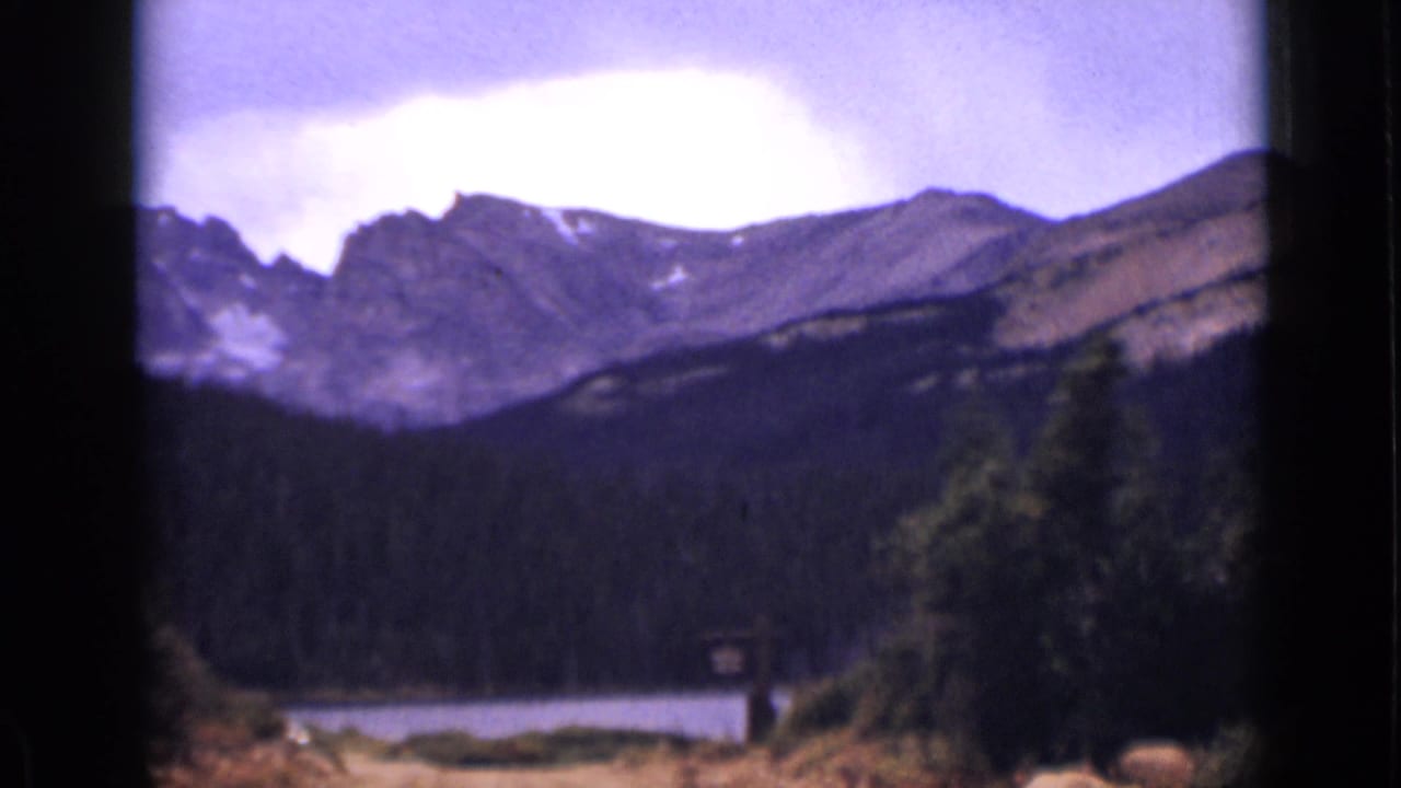 Mountain ridgeline above evergreen forest and a lake, with shrubs in the foreground.