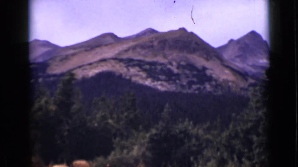 Colorado 8mm home-movie frame of layered mountain slopes, dense evergreens, foreground trees, and aged color film texture.