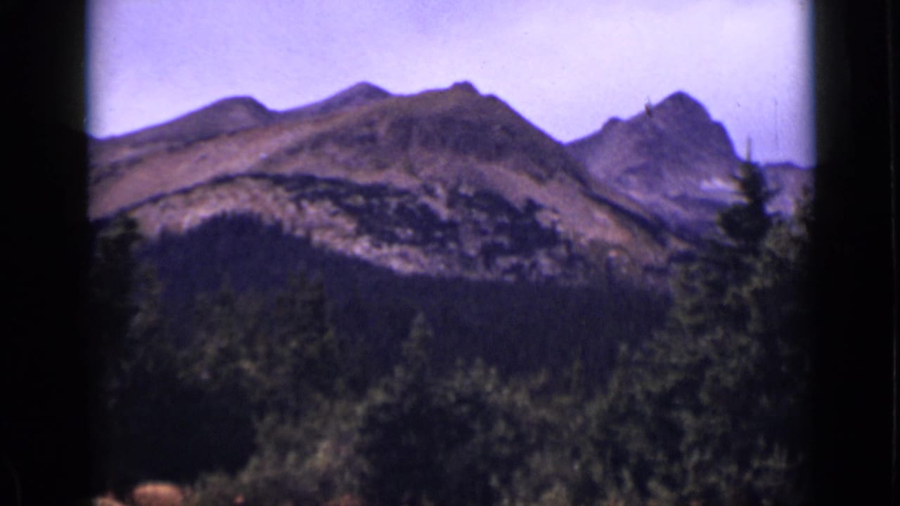 Distant mountain peaks above a dark evergreen forest under a pale blue sky.