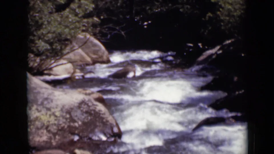 1938 Colorado 8mm frame showing whitewater moving through a rocky, shaded forest creek.