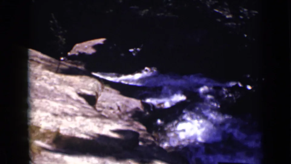 1938 Colorado home-movie frame with blue-purple shadows and bright creek water passing over rocks.