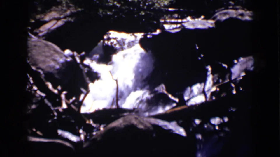 Sunlit stream water flows through dark rocks and branches in the Colorado outdoor setting described for the clip.