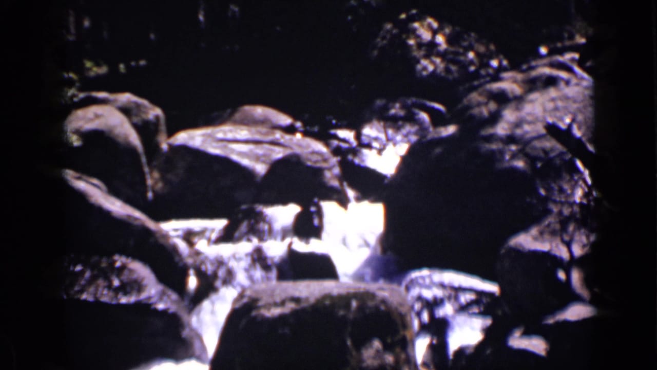 Foaming waterfall water flows around large rocks in heavy shade.