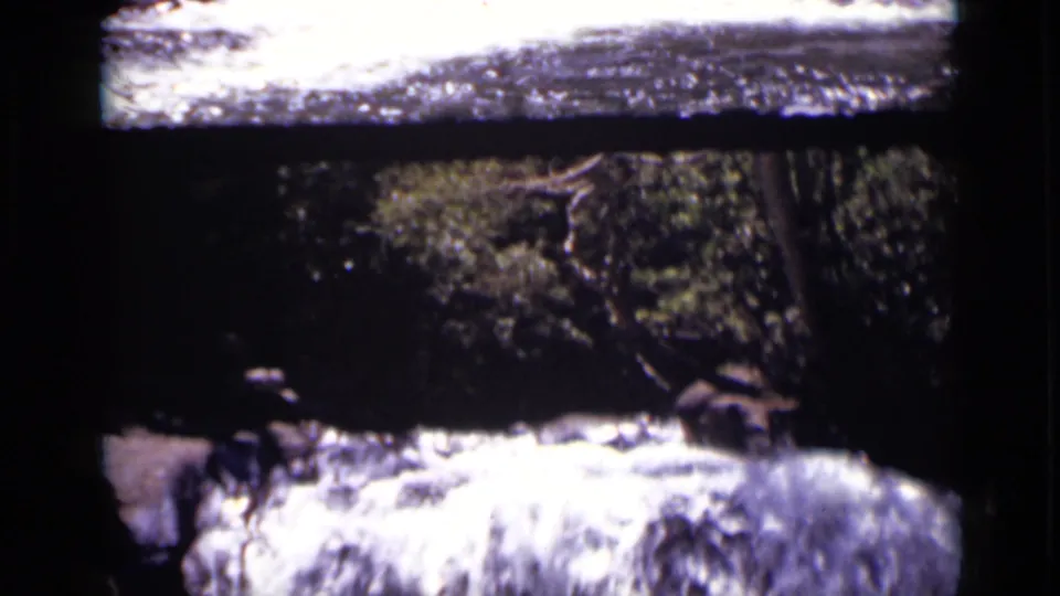 1938 Colorado 8mm frame of a bright small waterfall in a wooded stream, with rocks, foam, foliage, and visible dark scan borders.