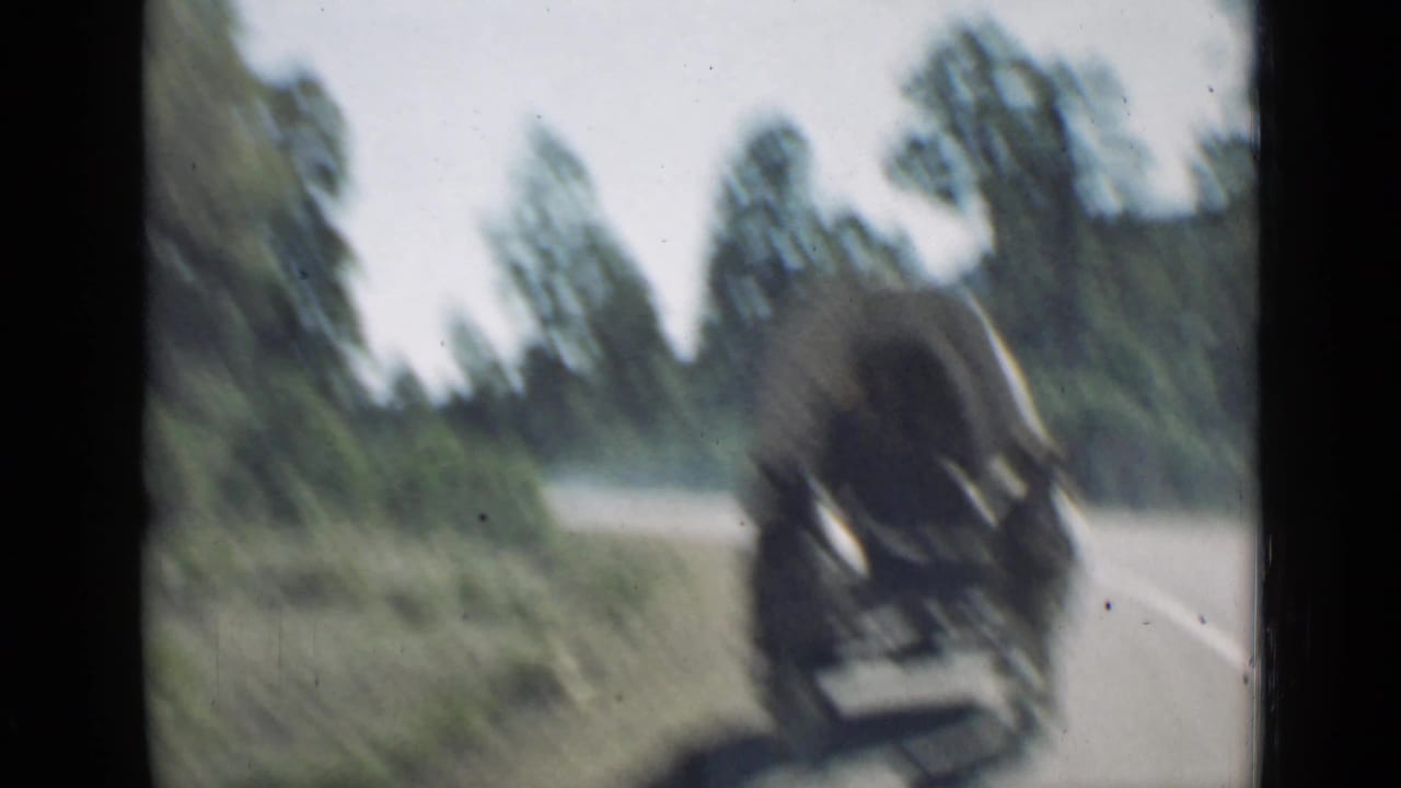 Blurred horse-drawn covered wagon traveling along a road bordered by trees.