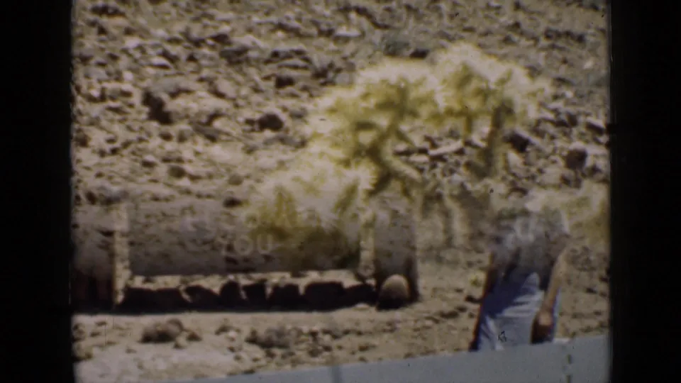 1939 Arizona frame showing spiny desert growth beside a low border or sign base, with a partial person at the edge.