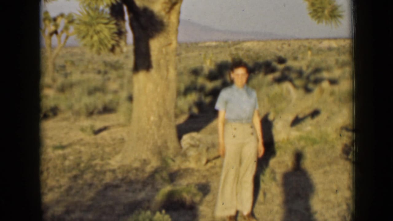 Woman posed near a tree with desert vegetation and distant hills behind her.