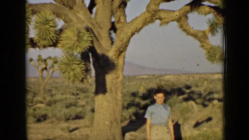 The woman remains near the tree as the frame shifts upward to show branching limbs and desert vegetation behind her.