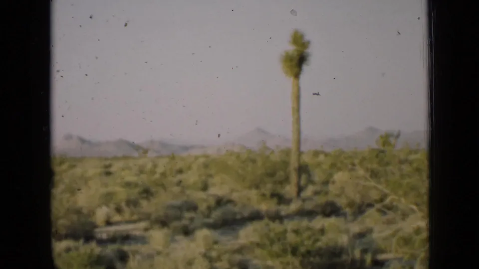 Arizona desert view with a tall Joshua tree, scrub vegetation, distant mountains, and pale sky in soft 1939 home-movie footage.