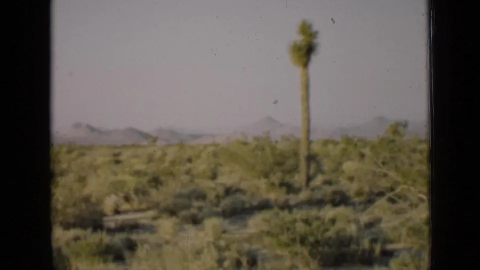 Soft 8mm view of an Arizona desert landscape with a prominent Joshua tree, low brush, distant hills, and dark frame edges.
