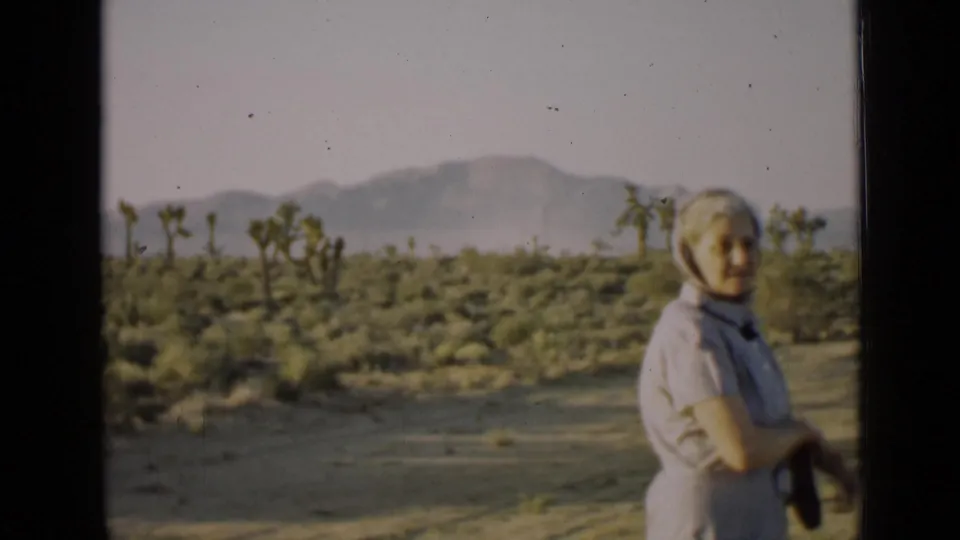 Adult woman in a light dress and head covering stands in an Arizona desert scene with Joshua trees and mountains behind her.