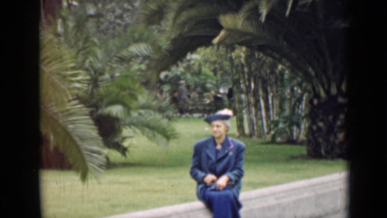 Woman in a blue coat and hat seated on a concrete ledge in a palm garden.