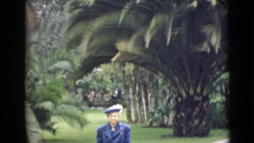 1939 Arizona 8mm frame with the seated woman partly low in frame under palms in a lush garden.