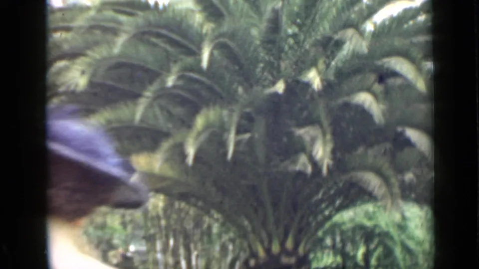 1939 Arizona home-movie frame with a hat-wearing passerby partly crossing the foreground near a large palm and garden planting.