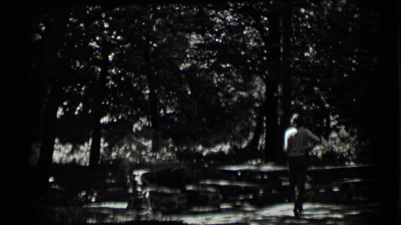 Man walking away through a shaded wooded picnic area with tables and benches.