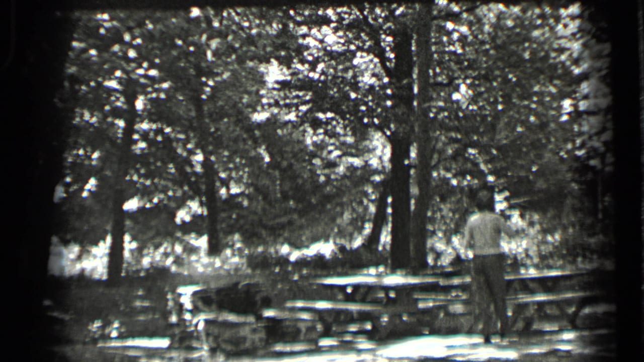Man standing near picnic tables in a bright clearing under tall trees.