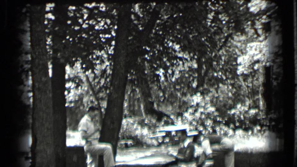 At the Clear Lake wooded picnic area, a man stands while other people sit near tables beneath large trees.