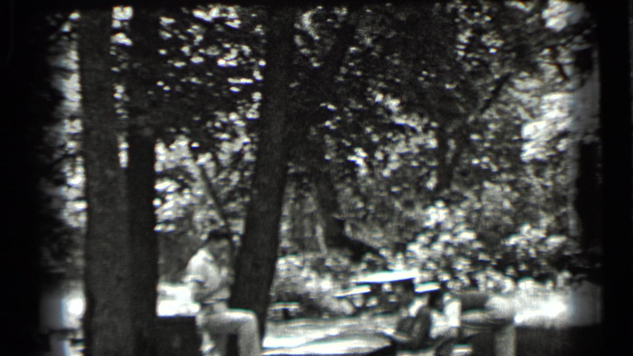 Adults seated and standing near picnic benches under tall trees.
