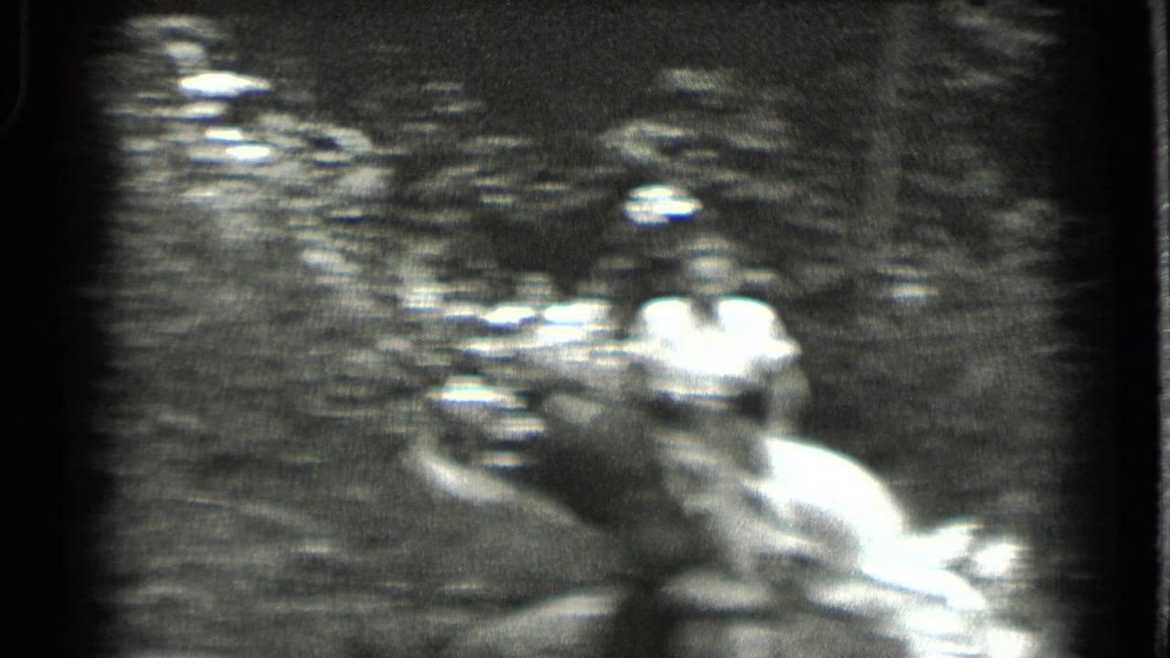 Blurred woman in light clothing crossing shallow water near rocks and trees.