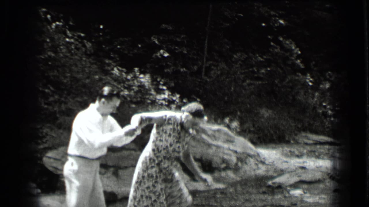 Man helps a woman in a patterned dress step across a shallow stream.