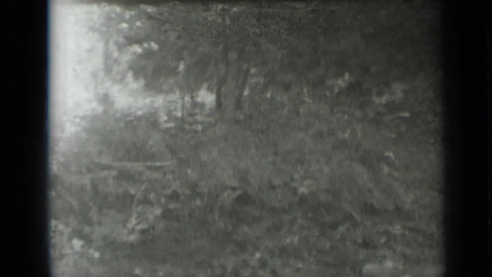 A dim, grainy view of brush and trees closes the Clear Lake forest-walk home movie clip.