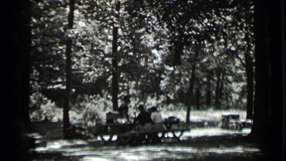 1939 Clear Lake frame of people seated at a woodland picnic table, with tall tree trunks and bright background foliage.