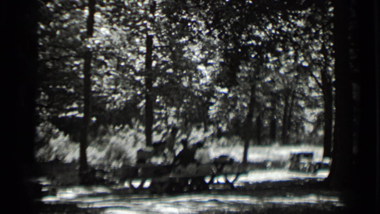 Wooded campsite with picnic tables and seated figures in a bright clearing.