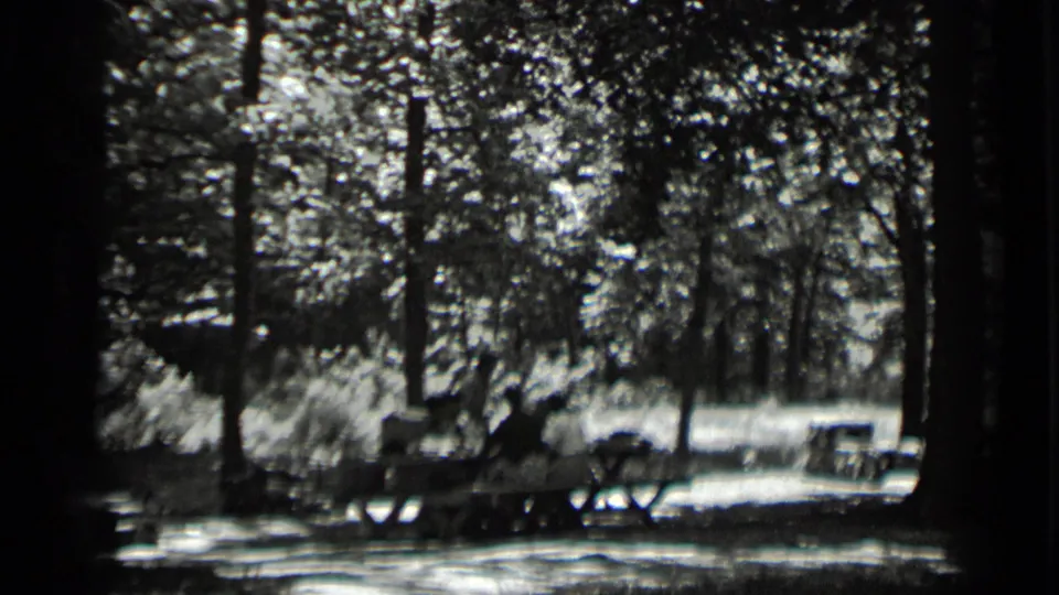 1939 Clear Lake campsite view with people seated at a picnic table among tall trees and patchy sunlight.