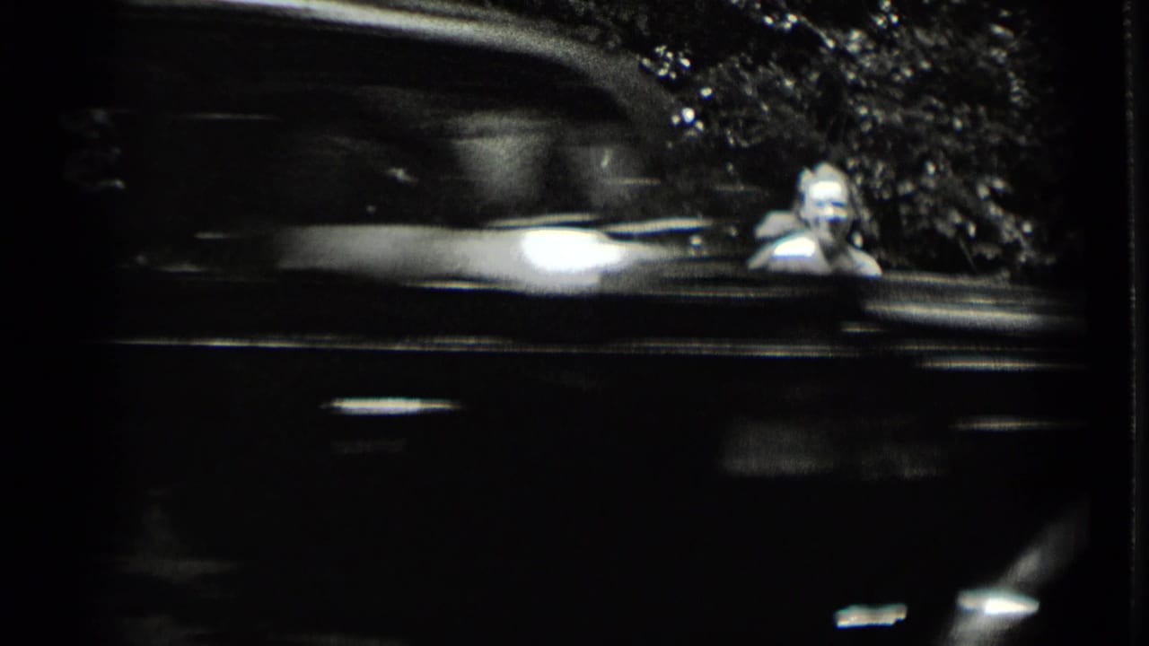 Blurred car passing in front of a wooded roadside scene.