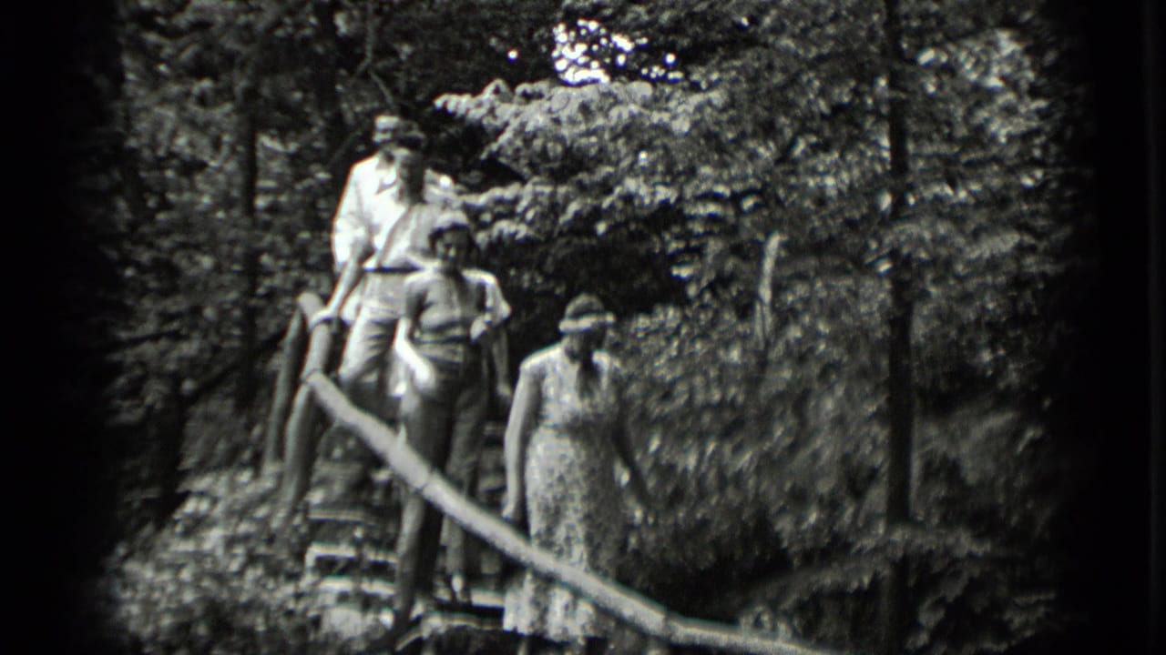 Adults walk down rustic wooden stairs in a wooded Clear Lake, California setting in 1939 home-movie footage.
