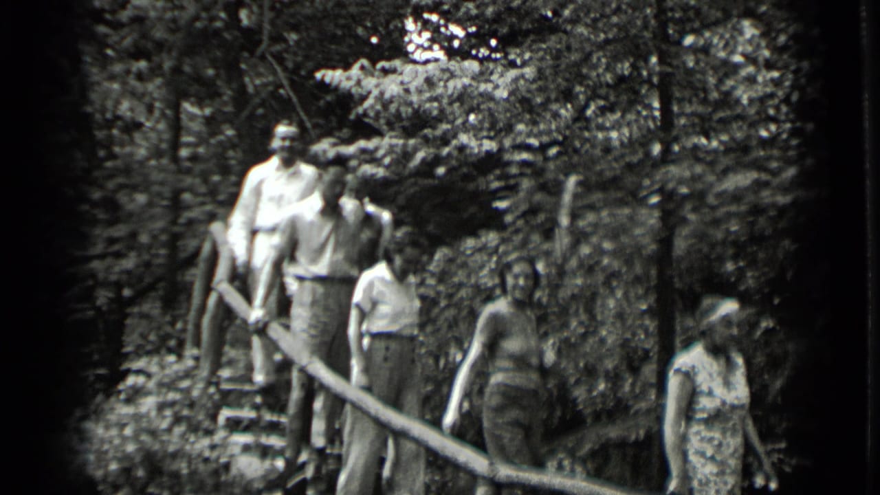 Adults in light clothing descend and gather along rustic stairs in wooded Clear Lake, California home-movie footage from 1939.