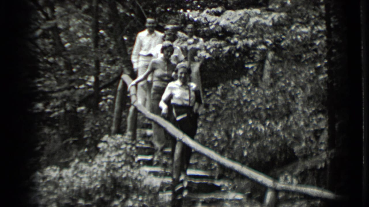 The 1939 Clear Lake home movie shows adults moving down a steep wooded stairway with a branch-like handrail.