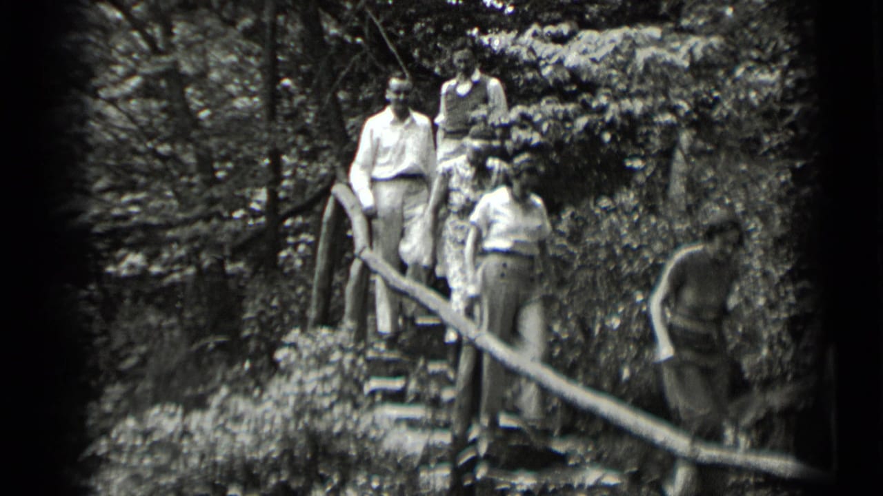 Several adults descend stone stairs in a wooded area with a branch-like railing.