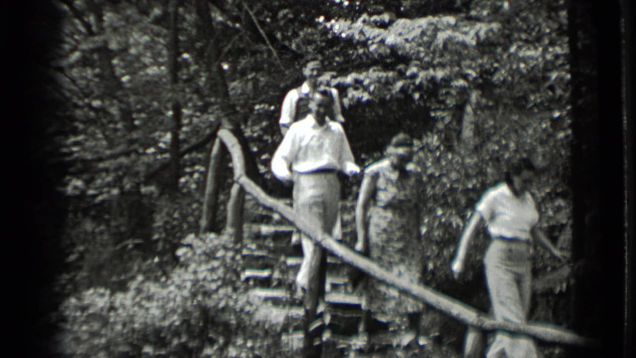 Adults descend the stone stairway near Clear Lake, California, with trees, shrubs, and a rustic rail surrounding the path.