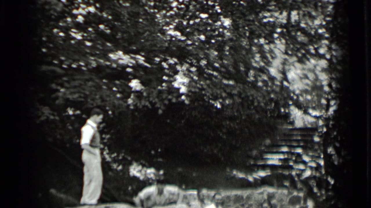 At Clear Lake in 1939, a man stands on the stone wall near a seated person, framed by trees and steps.