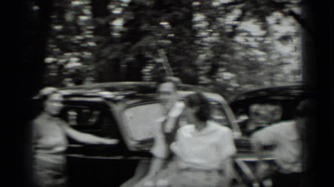 Blurred group near dark cars in a wooded outdoor setting.