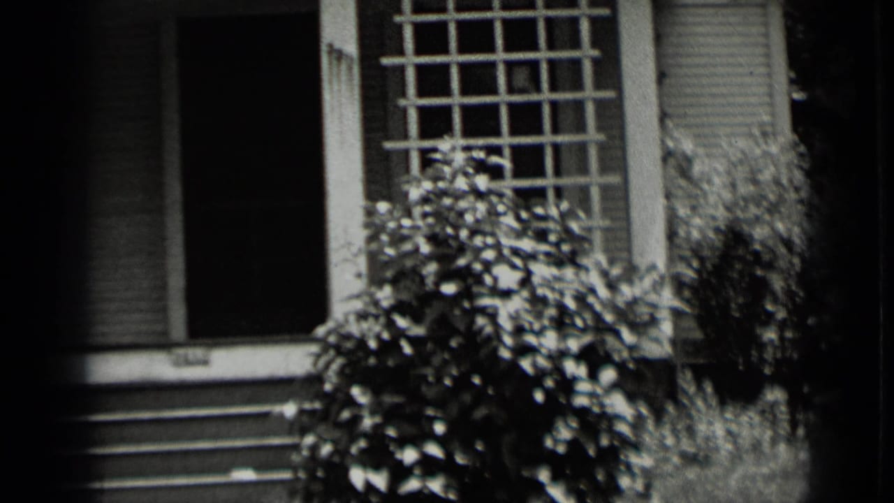 Shuttered porch doorway with a white trellis and leafy plants in front.