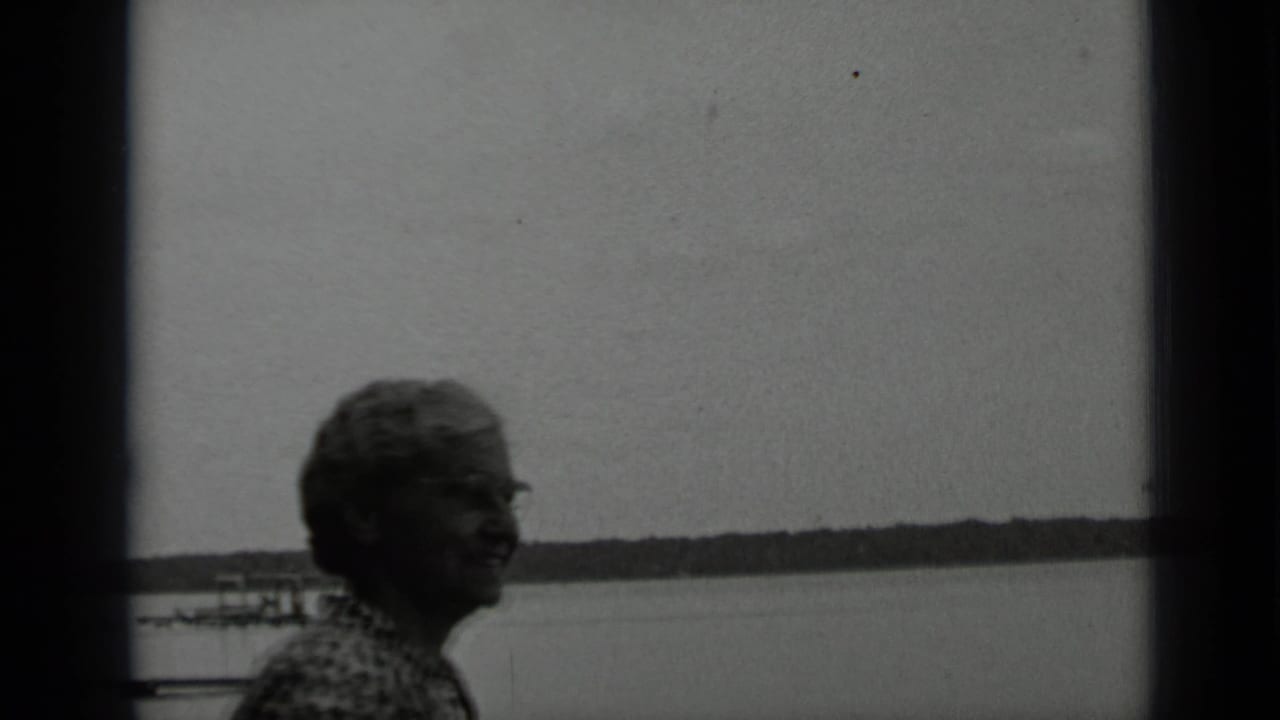 Older woman in patterned clothing smiles near Clear Lake, California, with calm water, dock structures, and a distant shore visible.