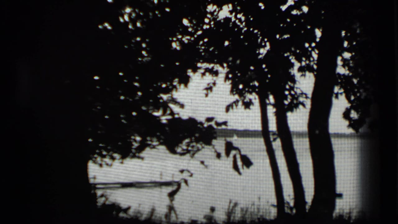 Dark tree silhouettes frame a lake and narrow pier seen through screen-like texture.