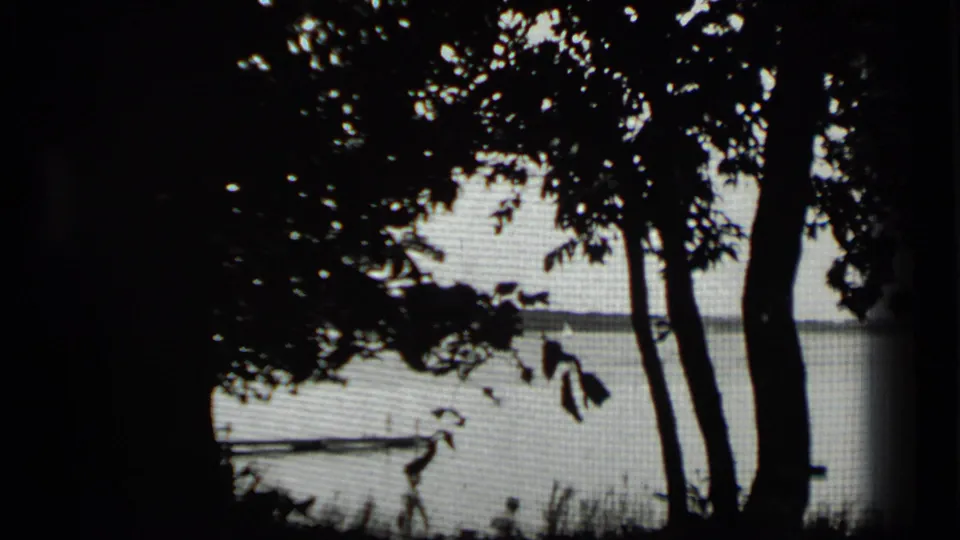 1939 Clear Lake home-movie frame with leafy trees in silhouette, a calm lake, and a narrow wooden pier viewed through mesh texture.