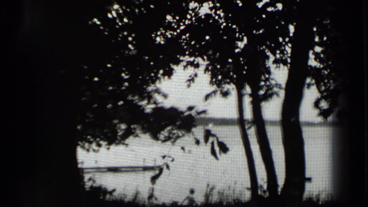 Leafy trees and a pier silhouette frame a bright lake surface.