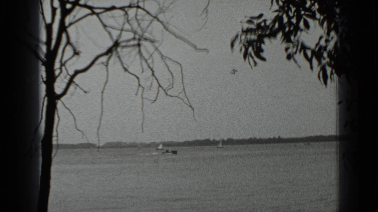 Lake view framed by a bare tree trunk and branches, with small boats in the distance.