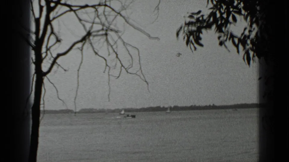A 1939 Clear Lake view is framed by shoreline branches, with small boats and a low distant shore visible across the water.