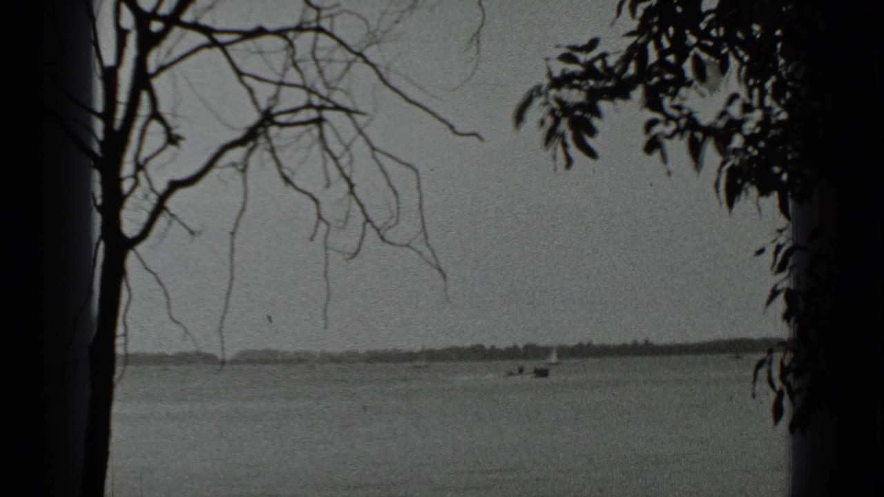 Calm lake with small distant boats framed by dark tree branches and trunks.