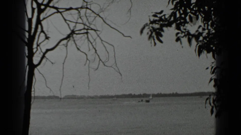 1939 Clear Lake, California view with calm water, small distant boats, silhouetted tree branches, and a low far shoreline.