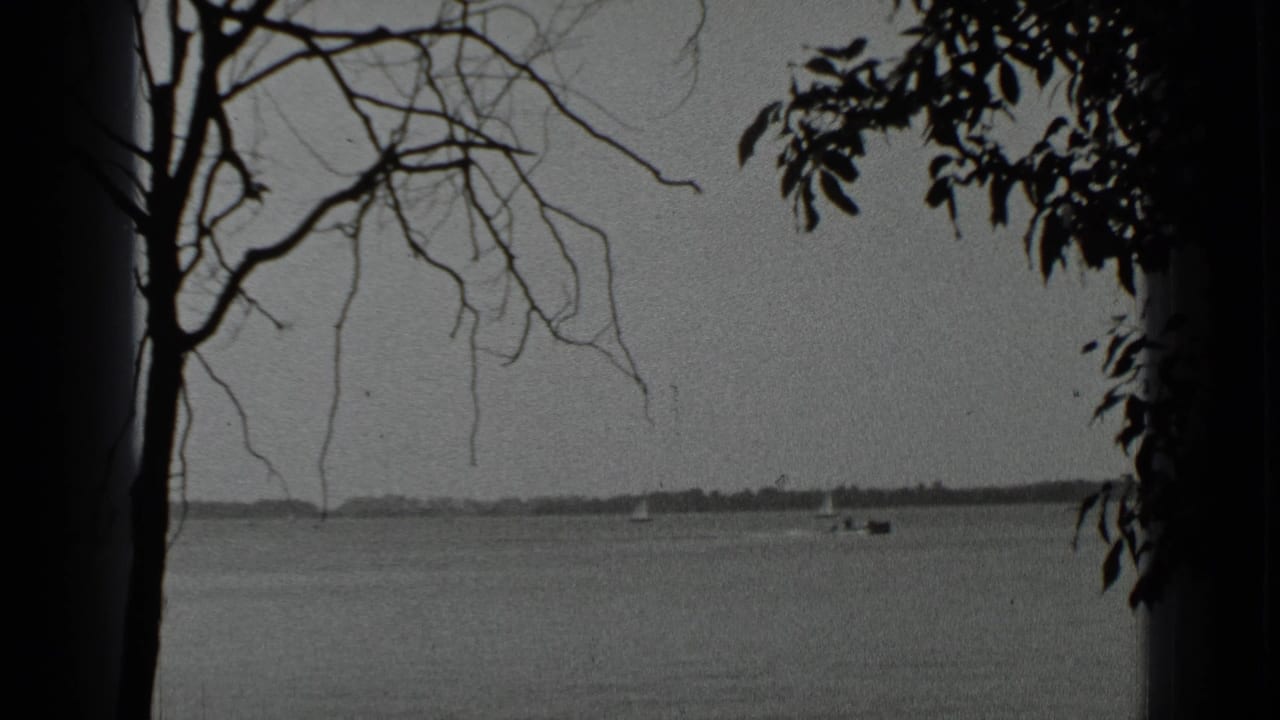 Clear Lake scene from 1939 showing distant sailboats and open water framed by silhouetted trunks and branches.