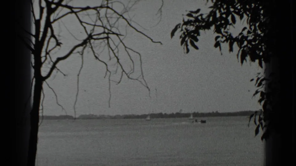 Clear Lake scene from 1939 showing distant sailboats and open water framed by silhouetted trunks and branches.