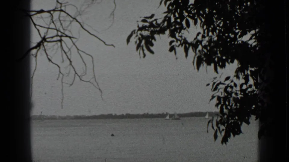 Clear Lake, California footage from 1939 with distant sailboats, a low shoreline, and silhouetted foliage along the frame edge.