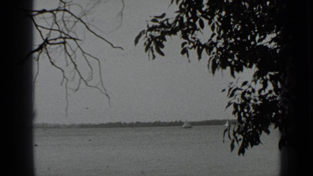 Lake view framed by dark tree branches with distant shoreline and small sailboats.