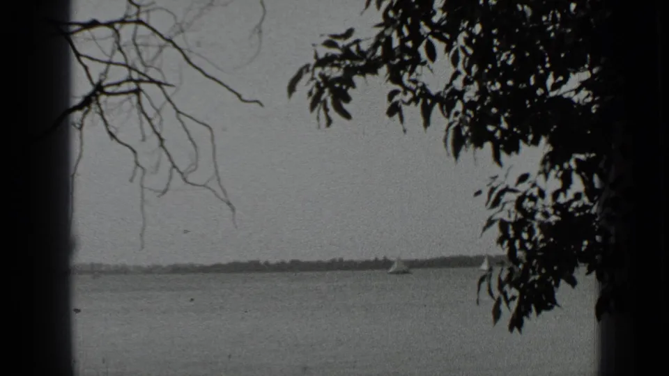 Black-and-white 1939 Clear Lake view framed by silhouetted branches, with calm water, distant shore, and small sailboats.